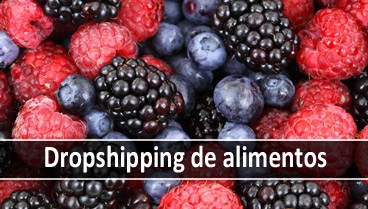 Proveedores de dropshipping de alimentación